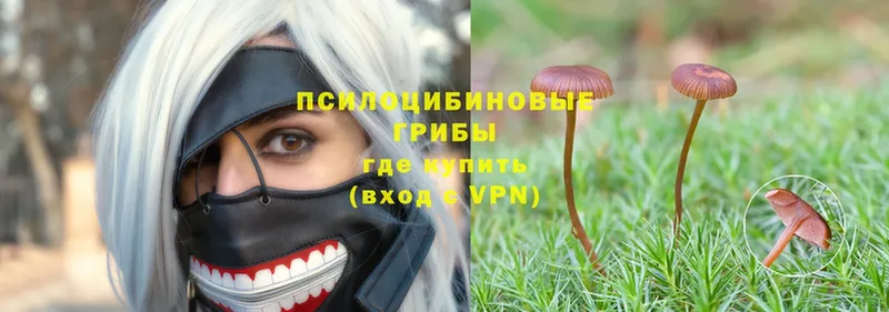 Галлюциногенные грибы Magic Shrooms  наркотики  Нурлат 